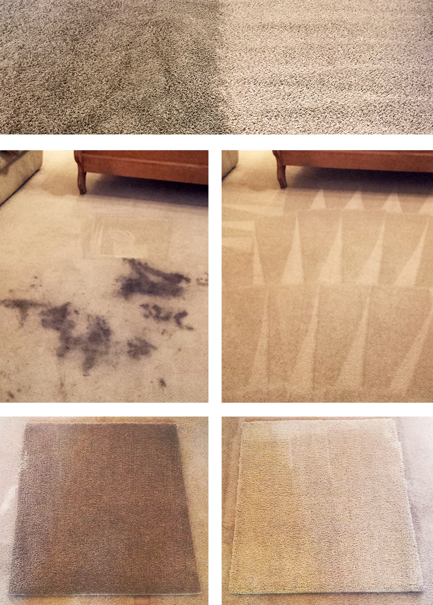 Clearly Clean • The Best Carpet Cleaning in Gilbert, AZ